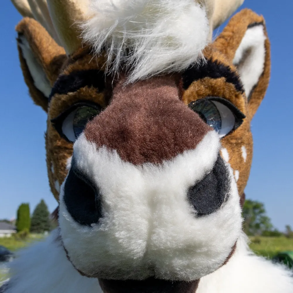 peppercaribou.bsky.social's profile picture