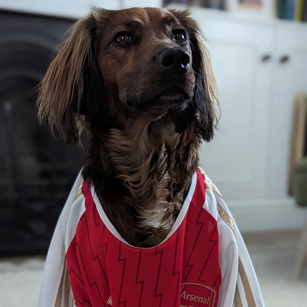 marmk.bsky.social's profile picture