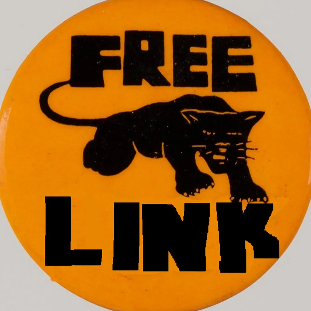 joelreinstein.bsky.social's profile picture