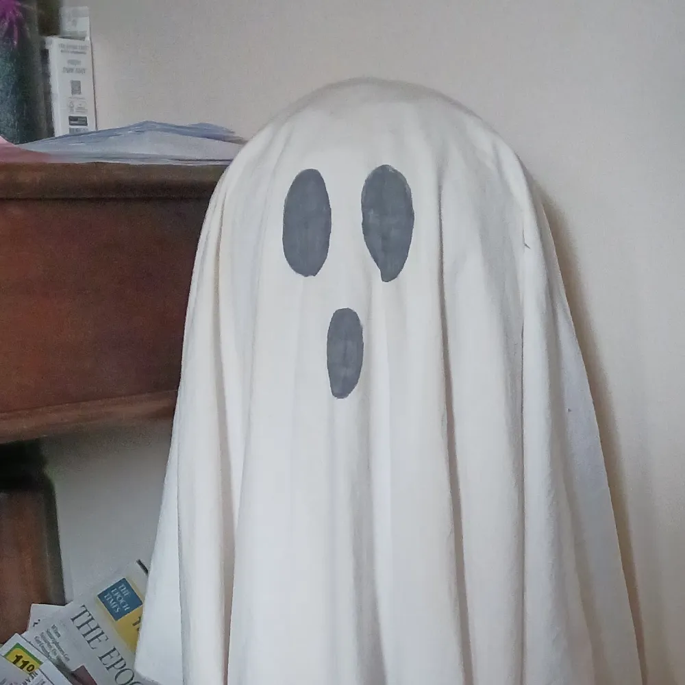 jamieirons.bsky.social's profile picture