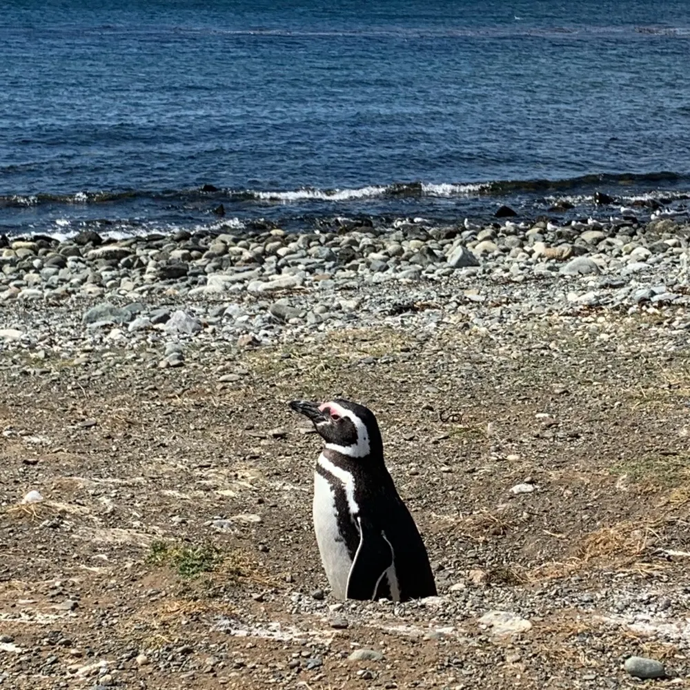 kathy13.bsky.social's profile picture