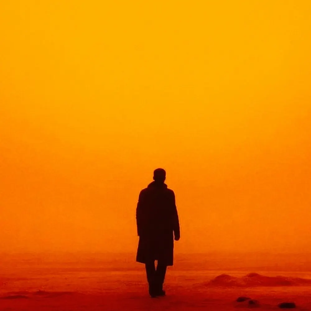 therocon.bsky.social's profile picture