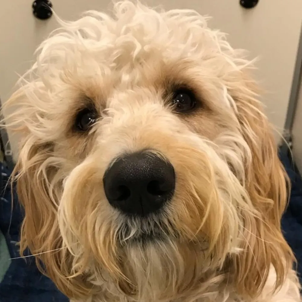 ronnie1972.bsky.social's profile picture