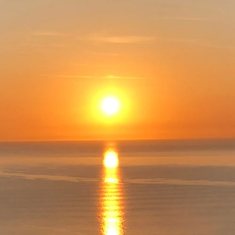 dorotheacalm.bsky.social's profile picture