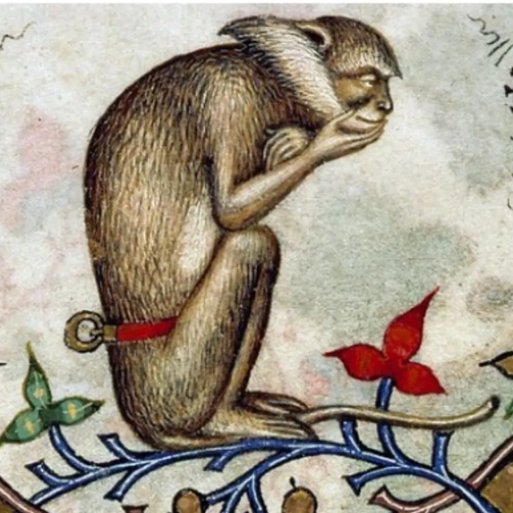 1015saturdaynight.bsky.social's profile picture