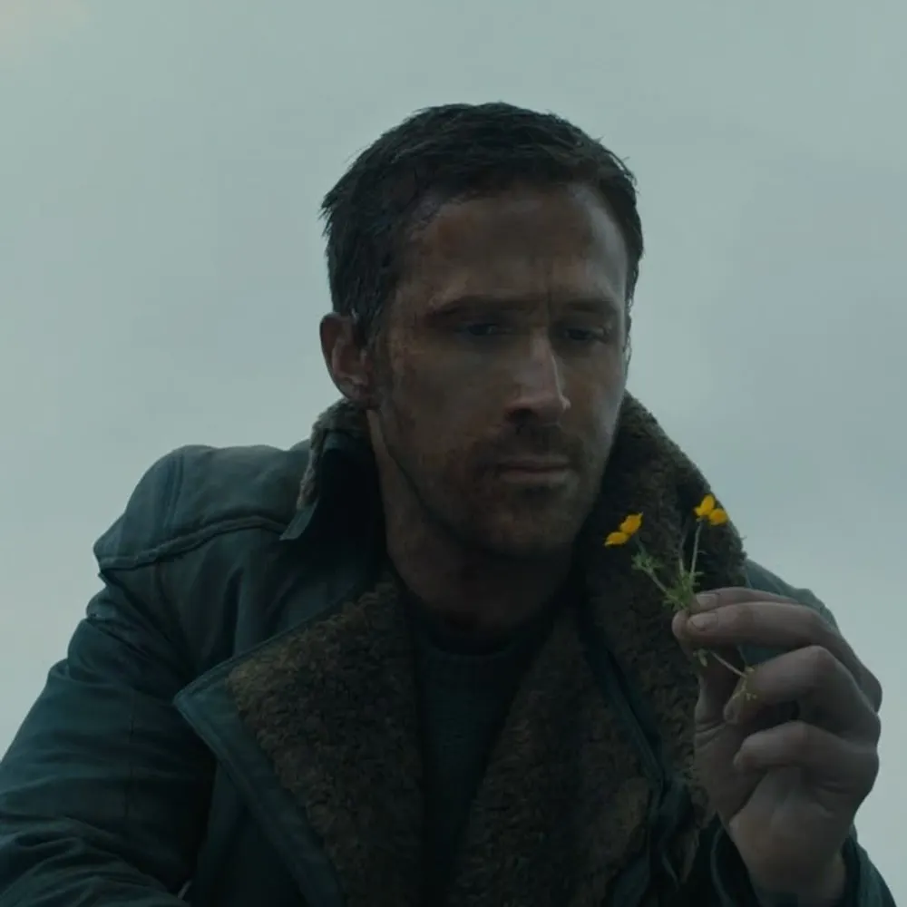 effacedfacade.eurosky.social's profile picture