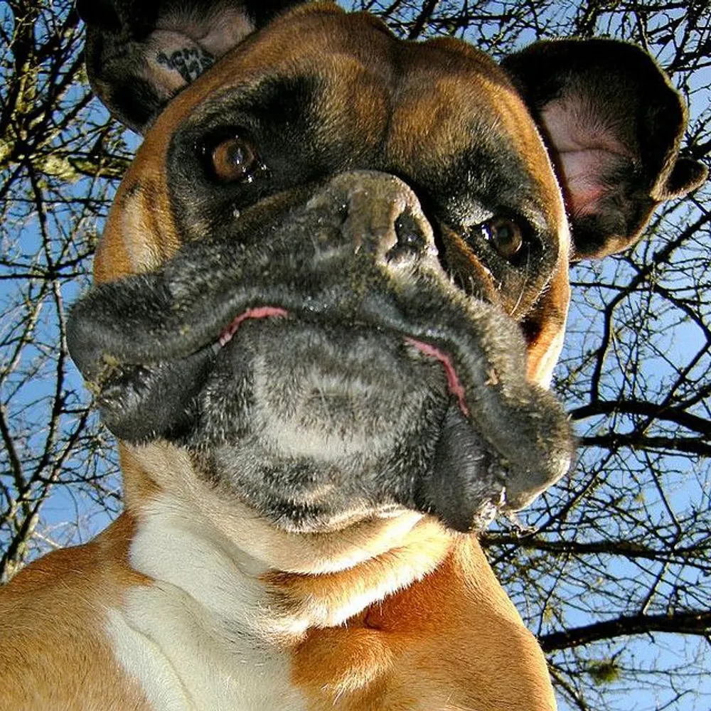 peteyjones.bsky.social's profile picture