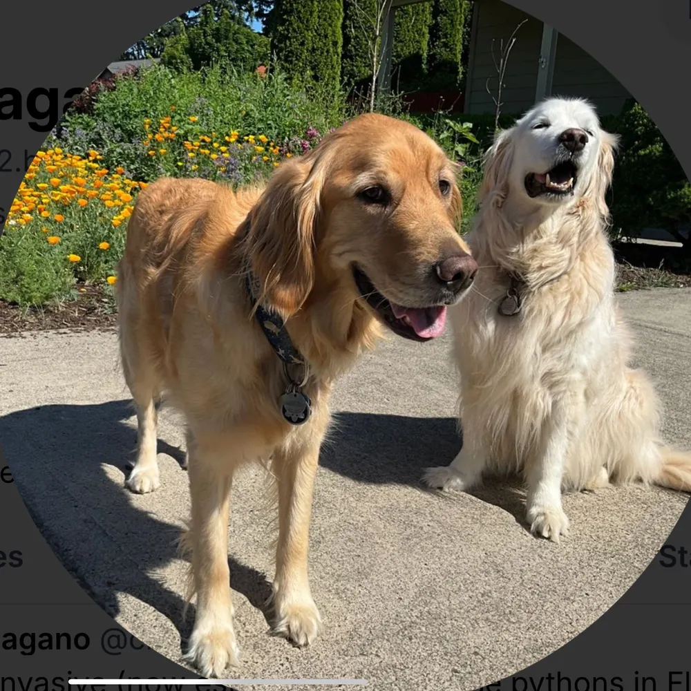 charliesaito22.bsky.social's profile picture