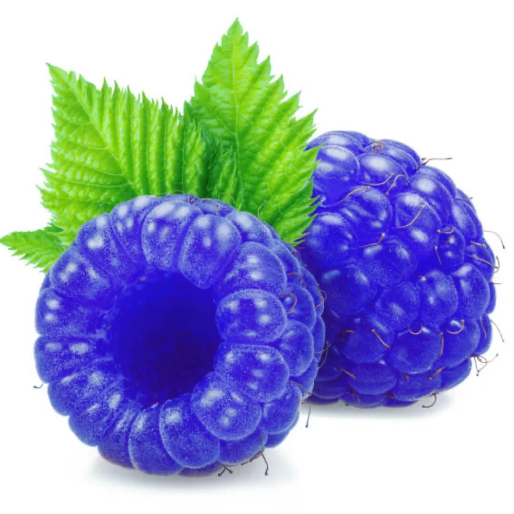 blufruit.bsky.social's profile picture