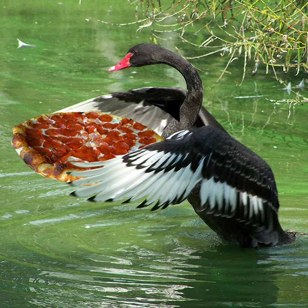 thosswans.bsky.social's profile picture