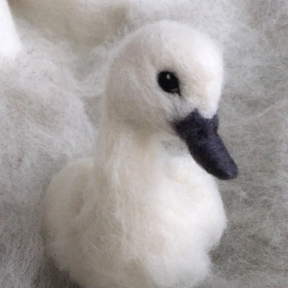 tswany.com's profile picture