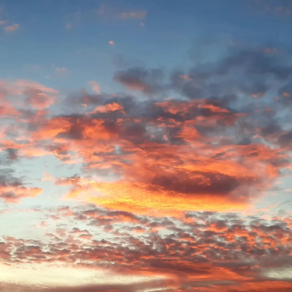 mcmgoptimist.bsky.social's profile picture