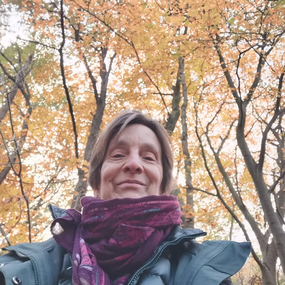 martjezingt.bsky.social's profile picture