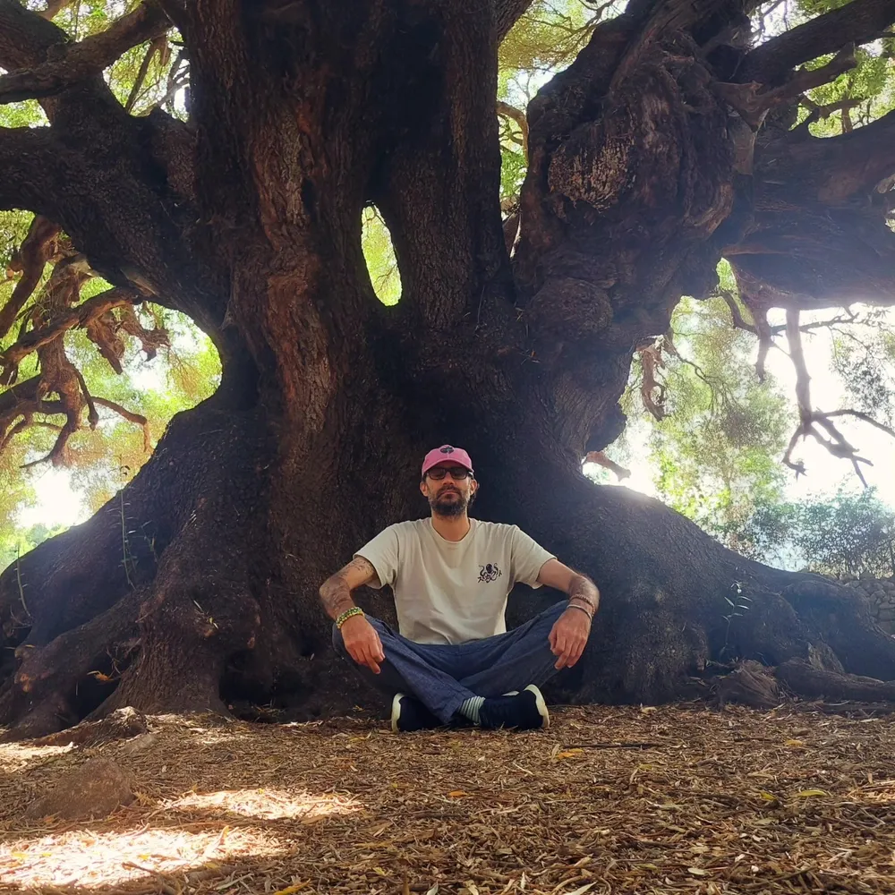 riffraff79.bsky.social's profile picture