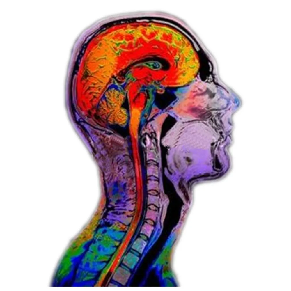 domainophile.bsky.social's profile picture