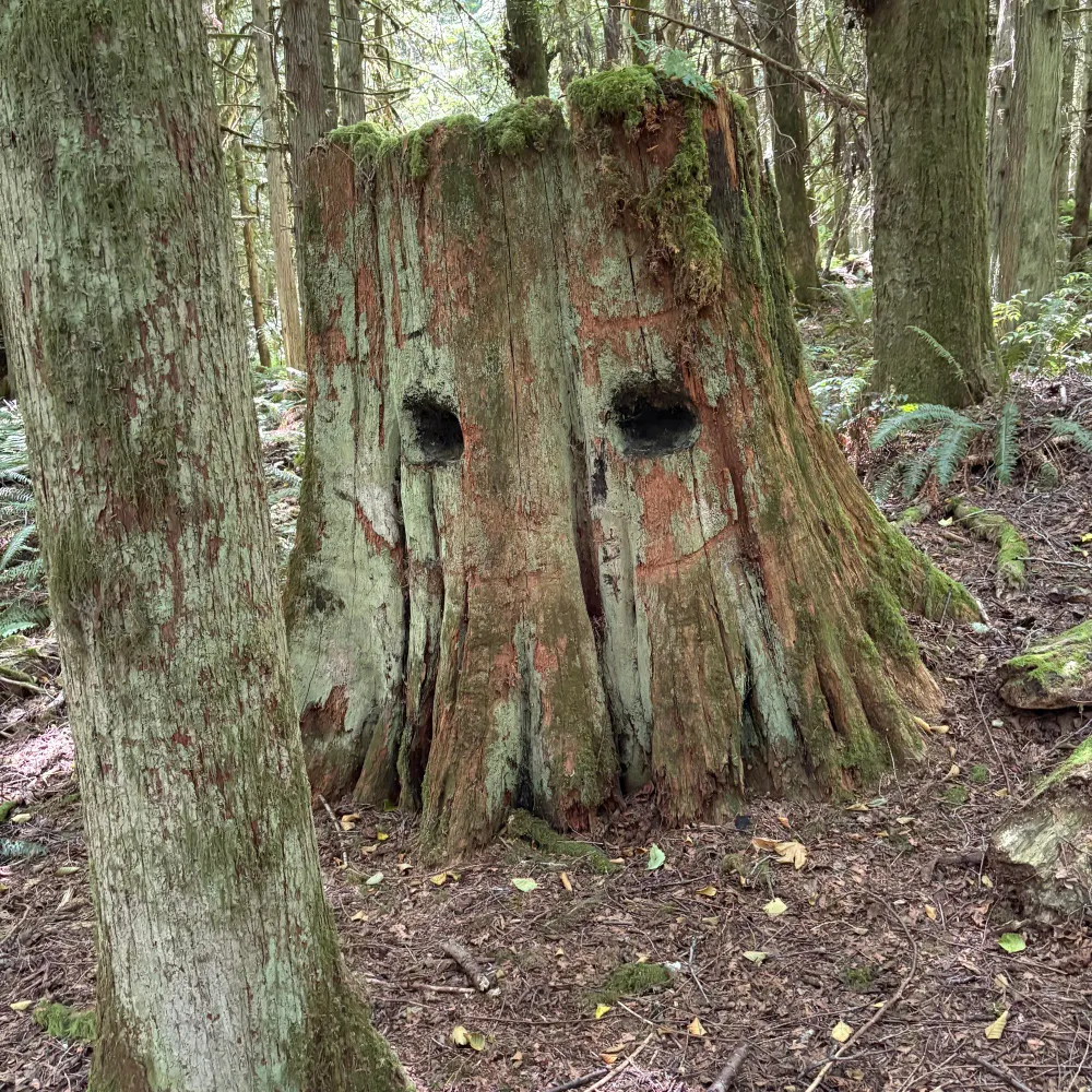 exadyto.bsky.social's profile picture