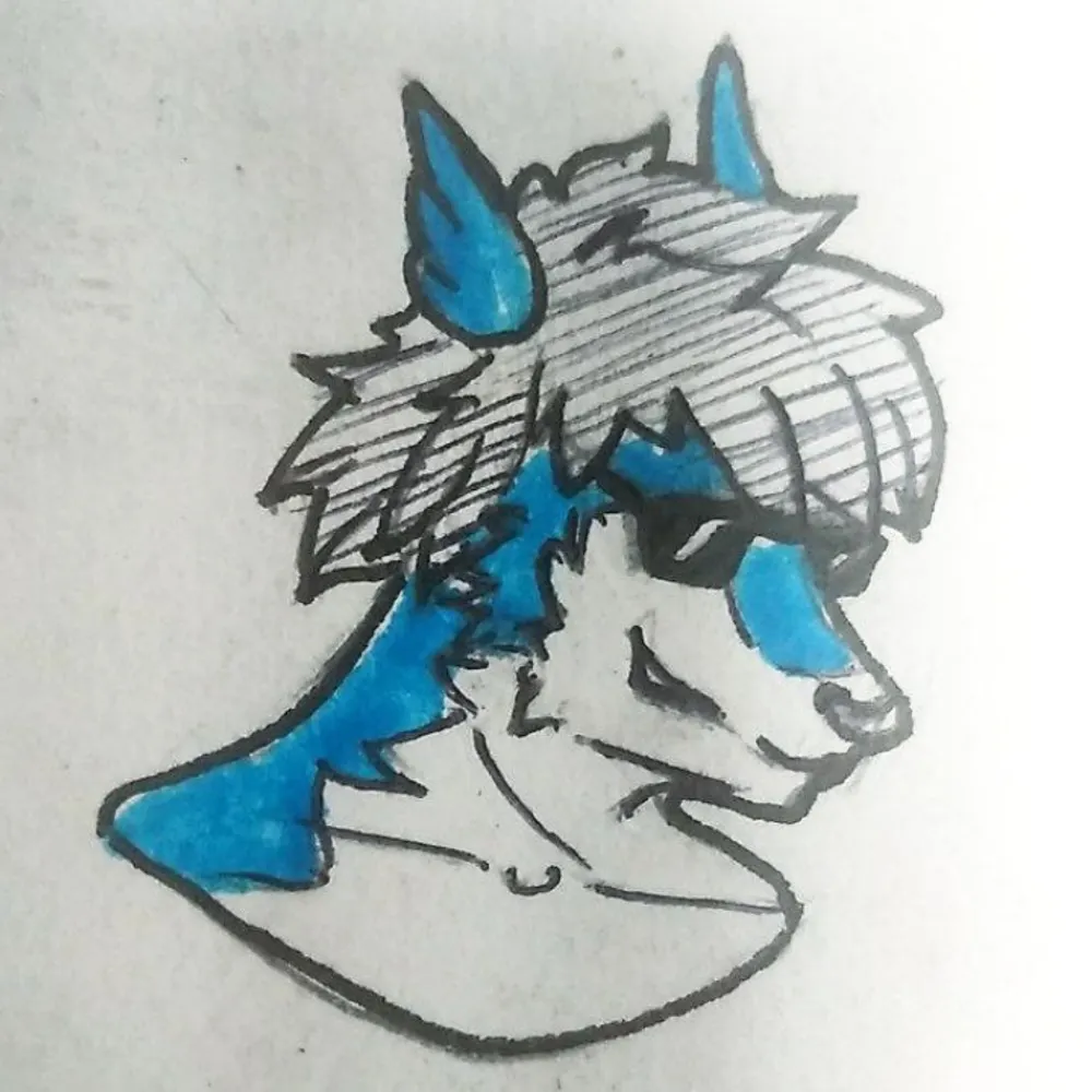 kouyastarsong.bsky.social's profile picture