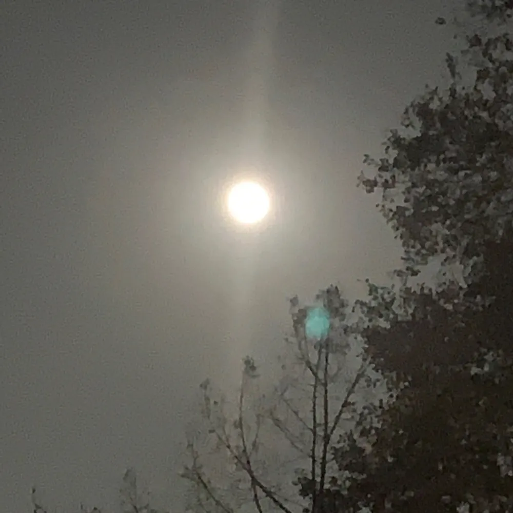 jodyyyy90.bsky.social's profile picture