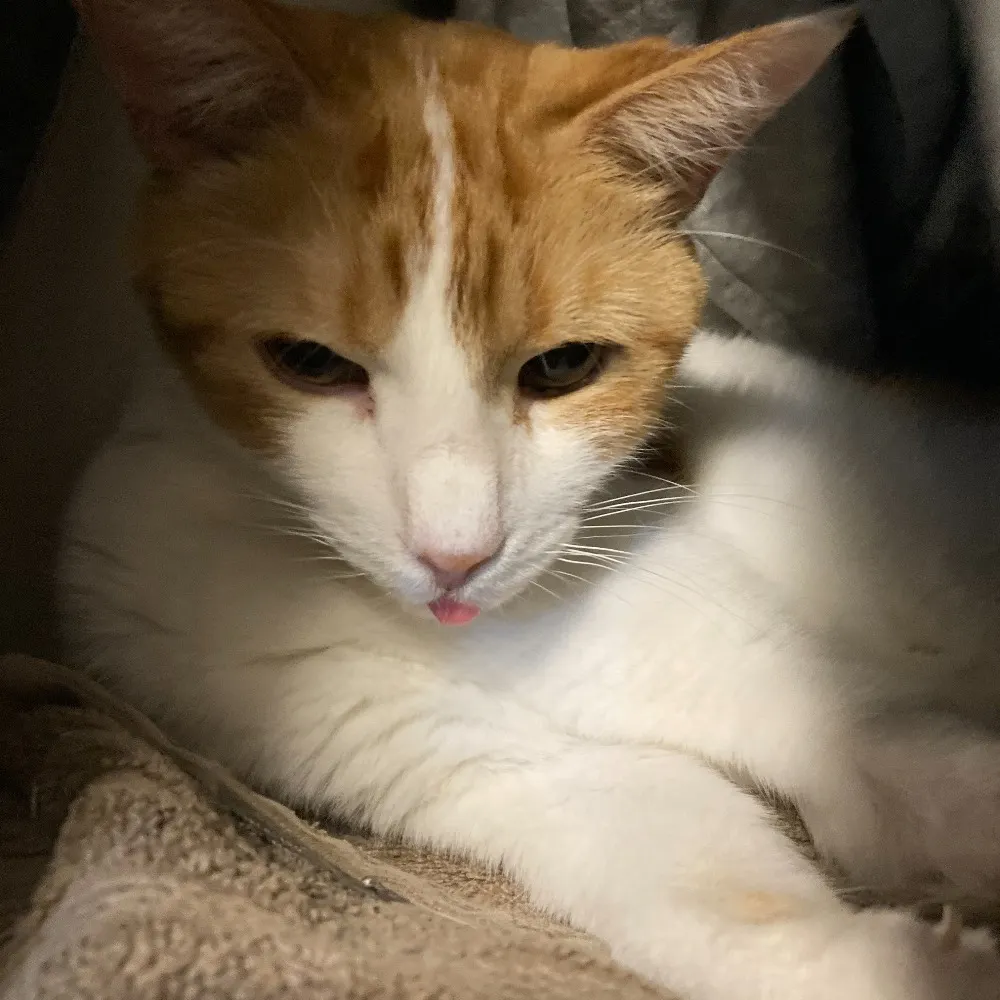 jennwilson.bsky.social's profile picture