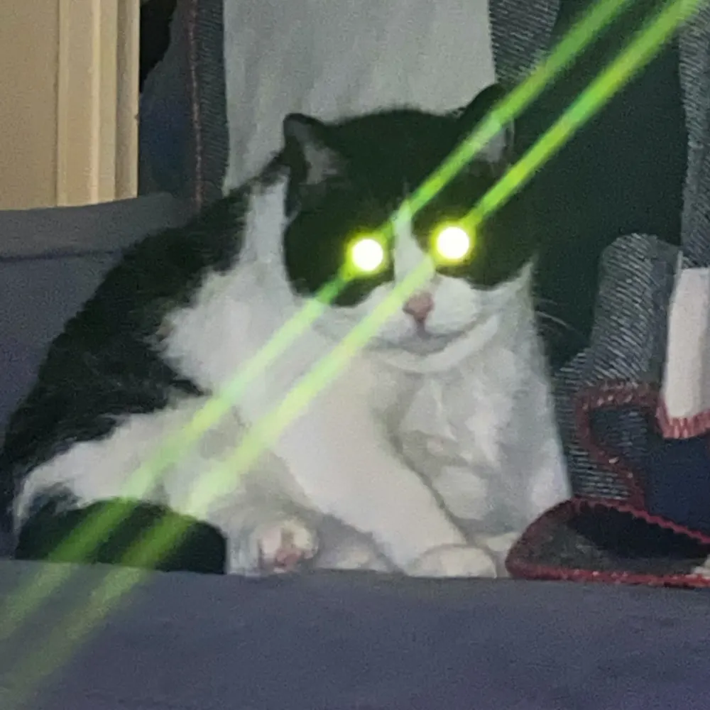 publichealthguy1.bsky.social's profile picture