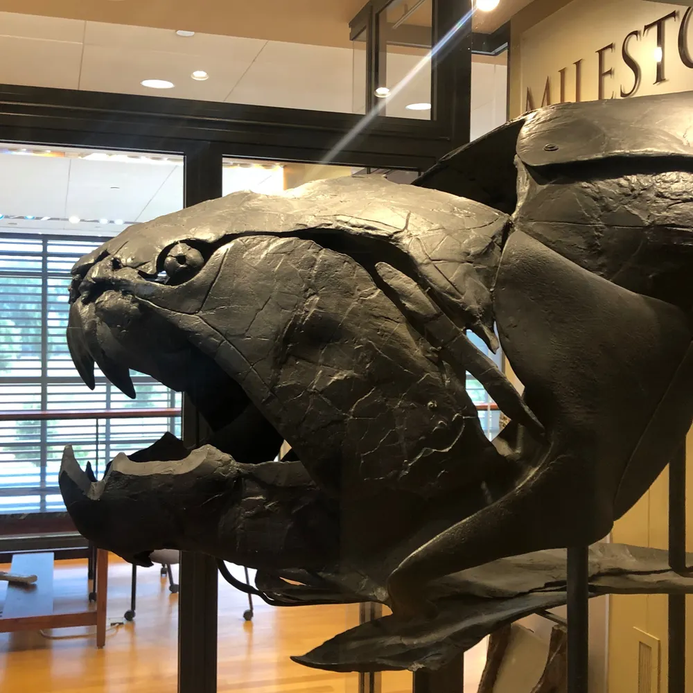 devoniandriftwood.bsky.social's profile picture