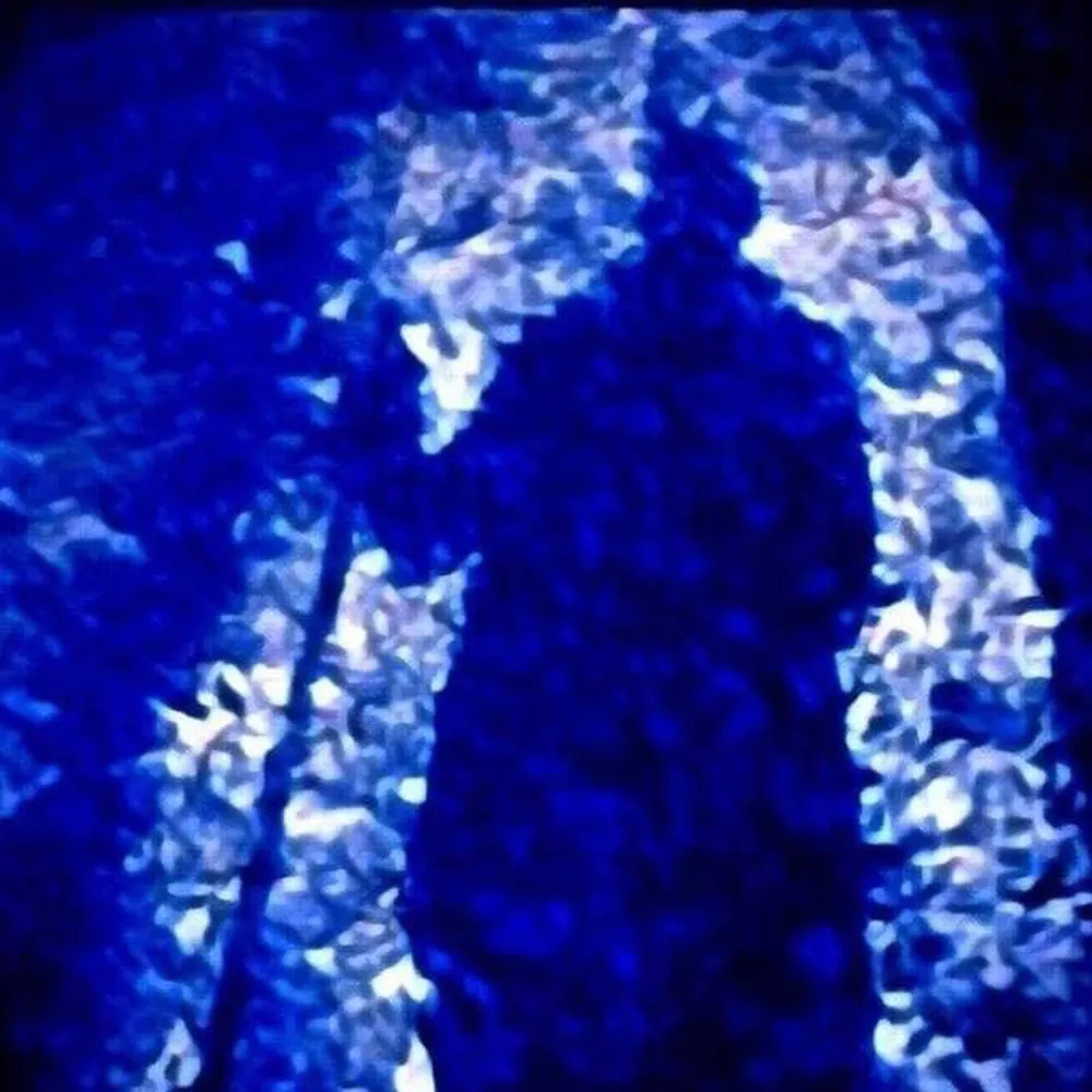 wayfarerinzan.bsky.social's profile picture