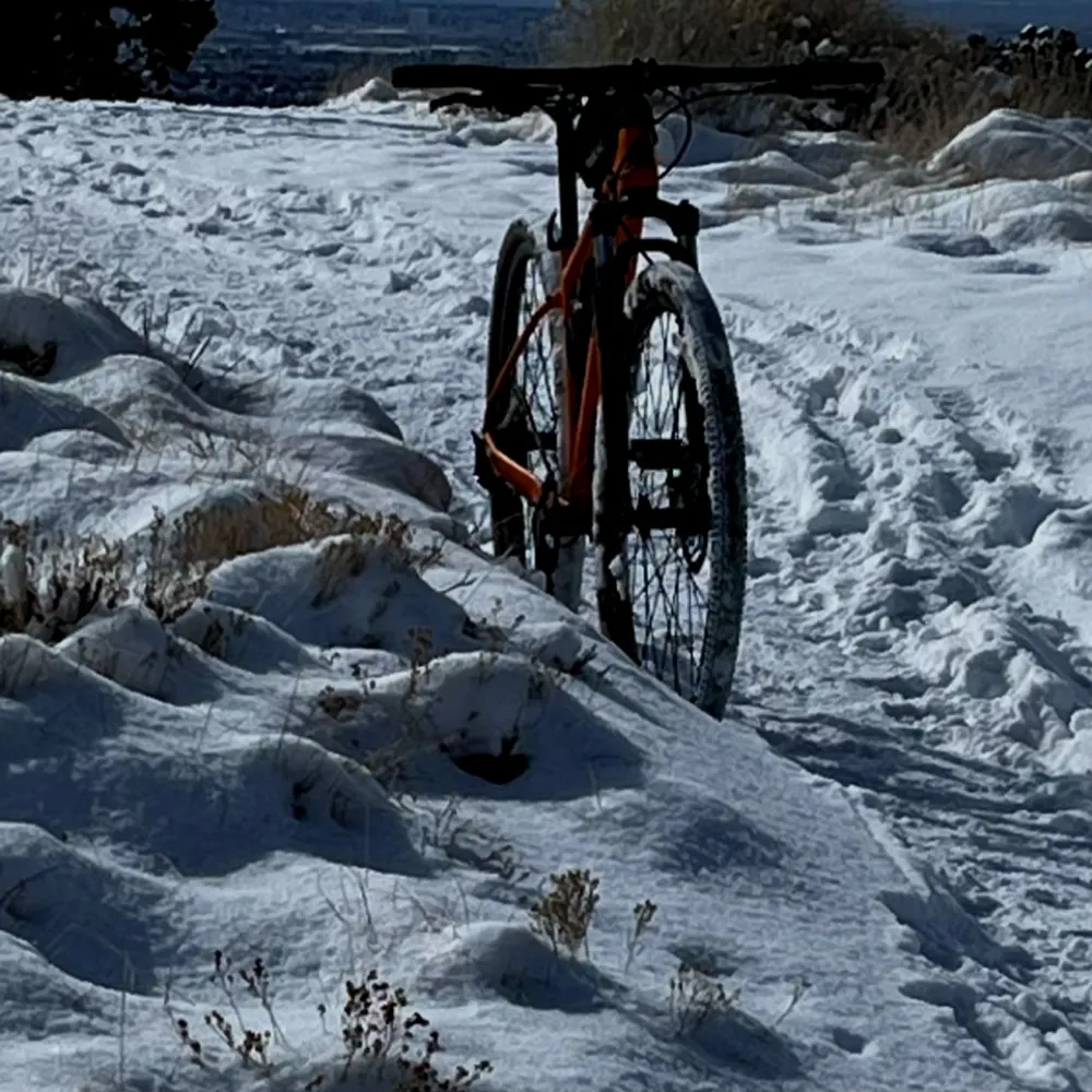 docpsych.bsky.social's profile picture