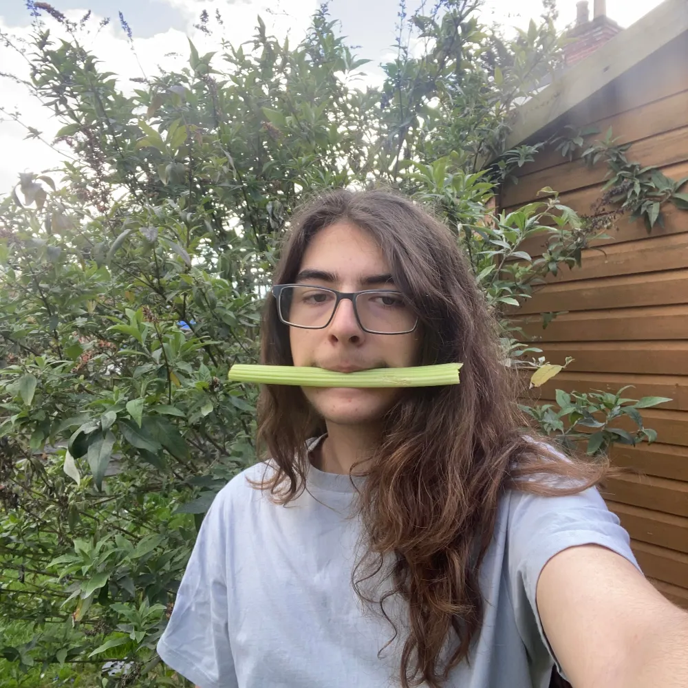 broccoplant.bsky.social's profile picture