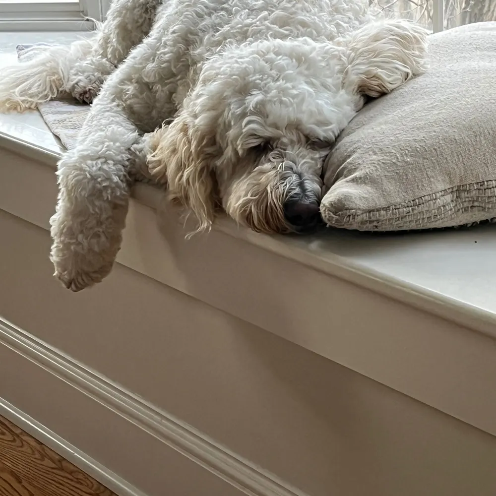 wksmith.bsky.social's profile picture