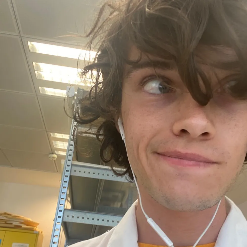 iacobuscaesar.bsky.social's profile picture