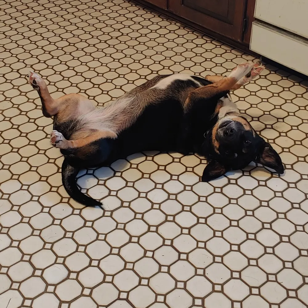 axman.bsky.social's profile picture