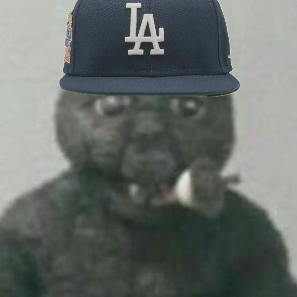 flukeman.bsky.social's profile picture