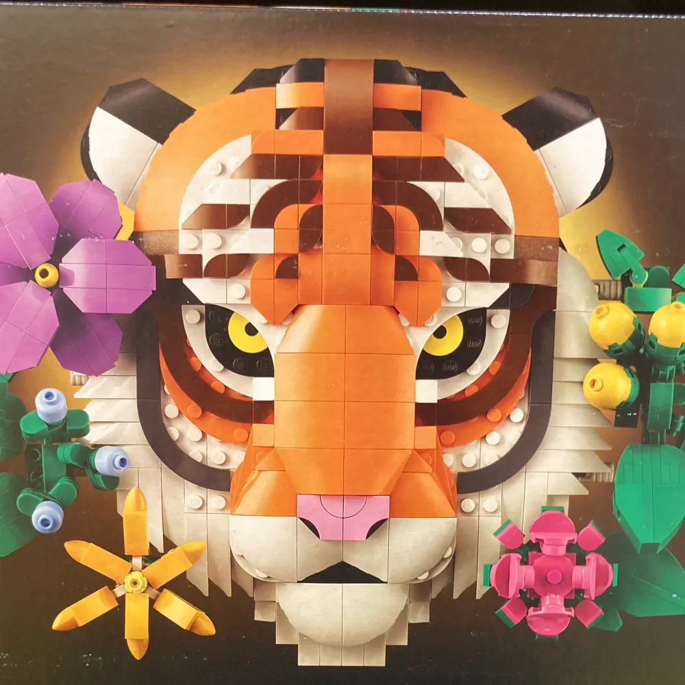 mayday13.bsky.social's profile picture