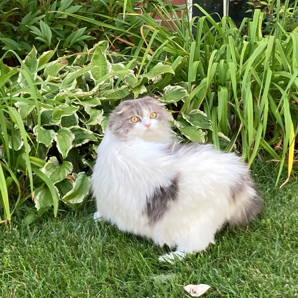 yeetski.bsky.social's profile picture