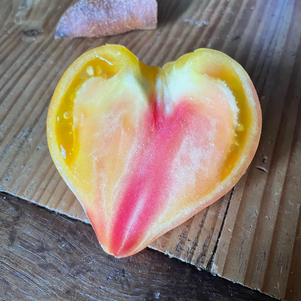 migbillion.fr's profile picture