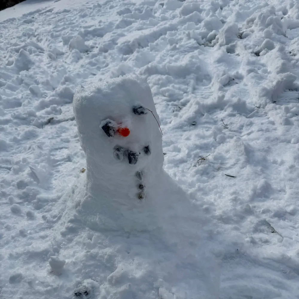 yubaba49.bsky.social's profile picture