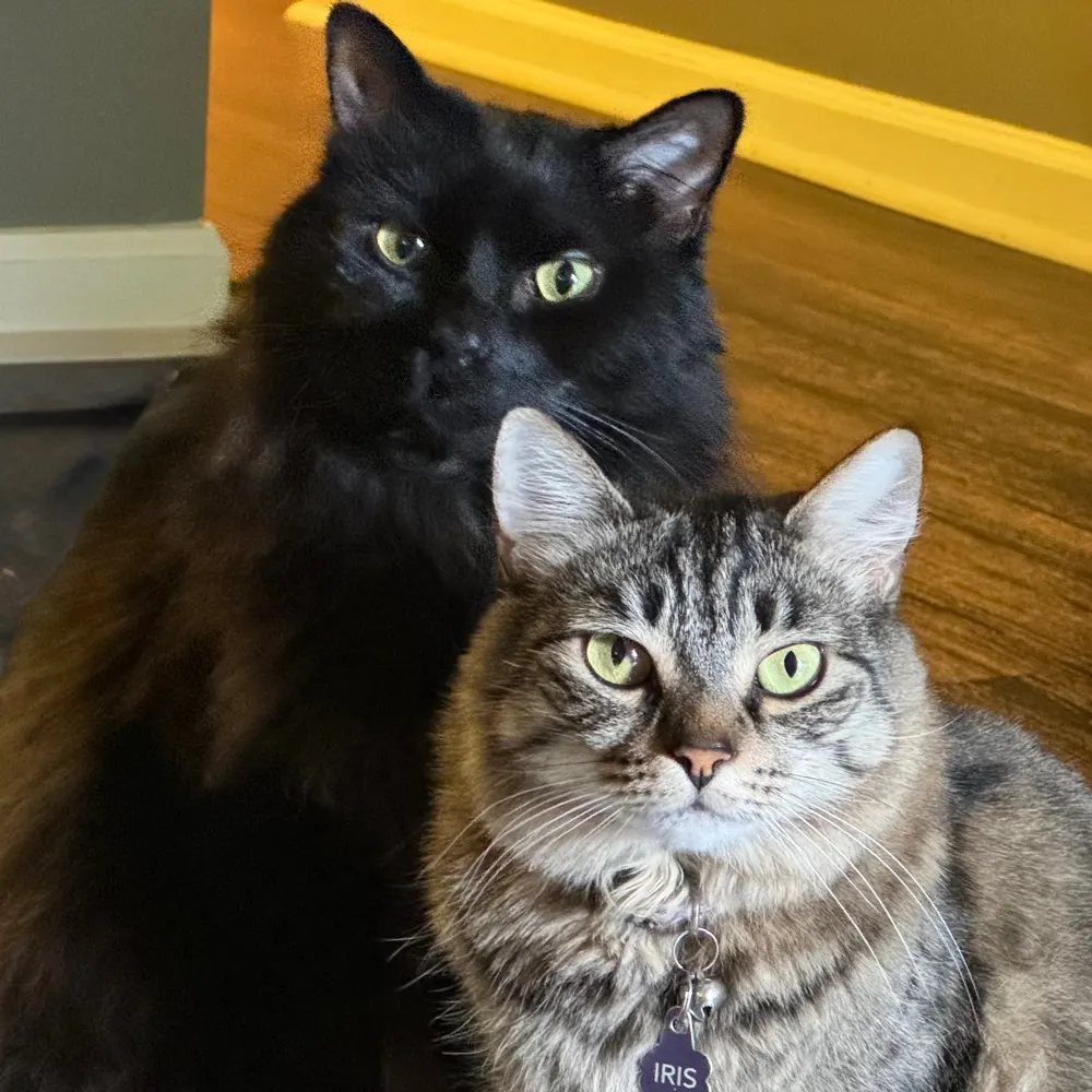 beth-ccl.bsky.social's profile picture