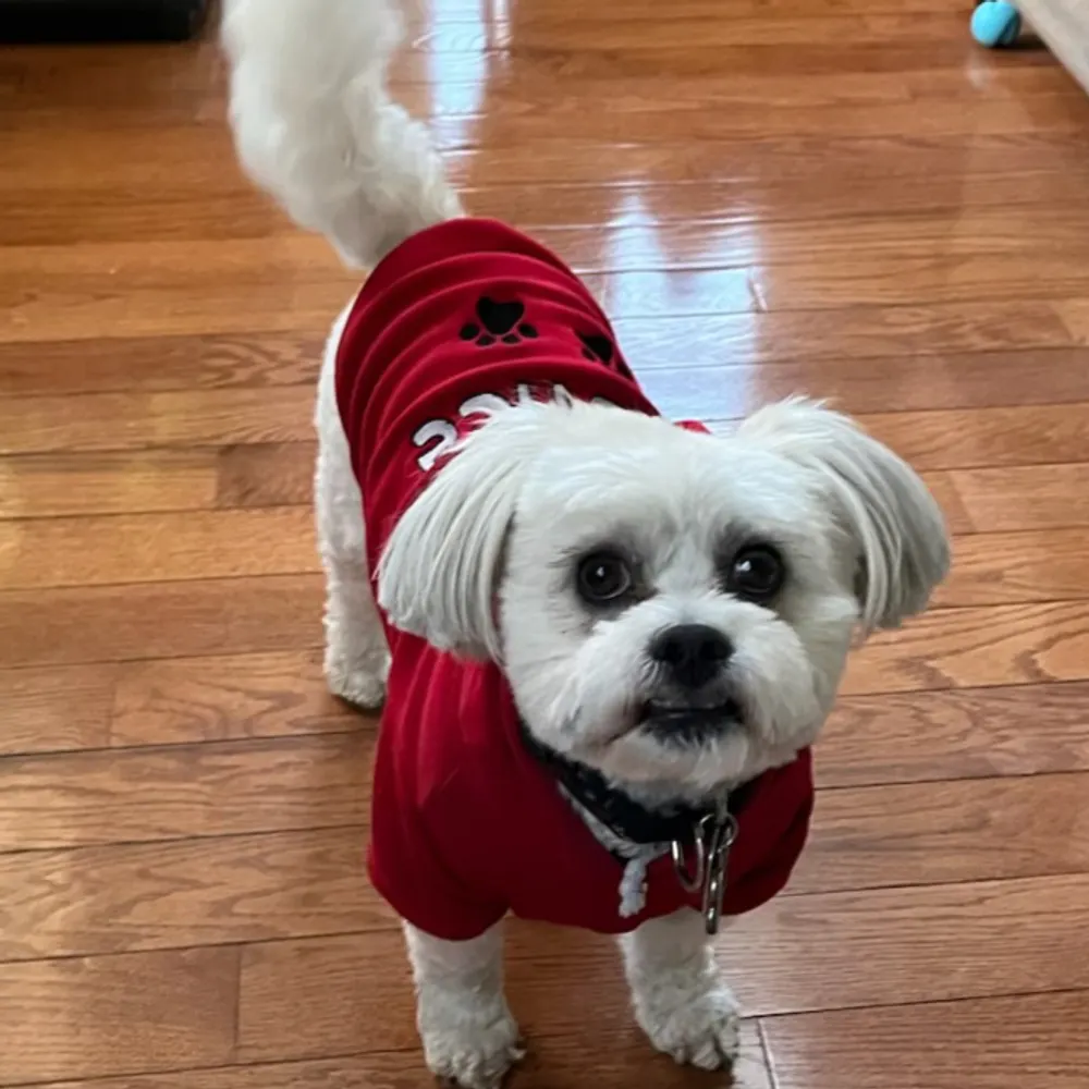 harrietmoses64.bsky.social's profile picture