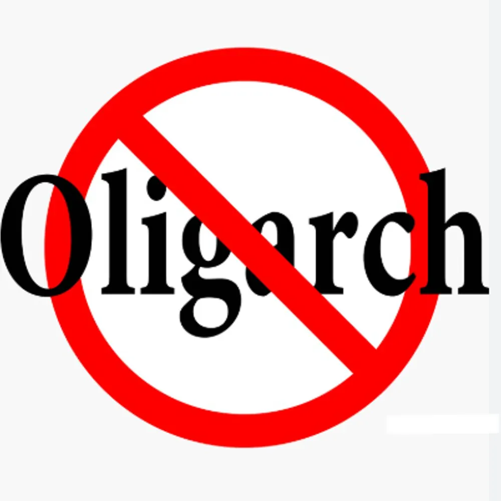 notooligarchs.bsky.social's profile picture