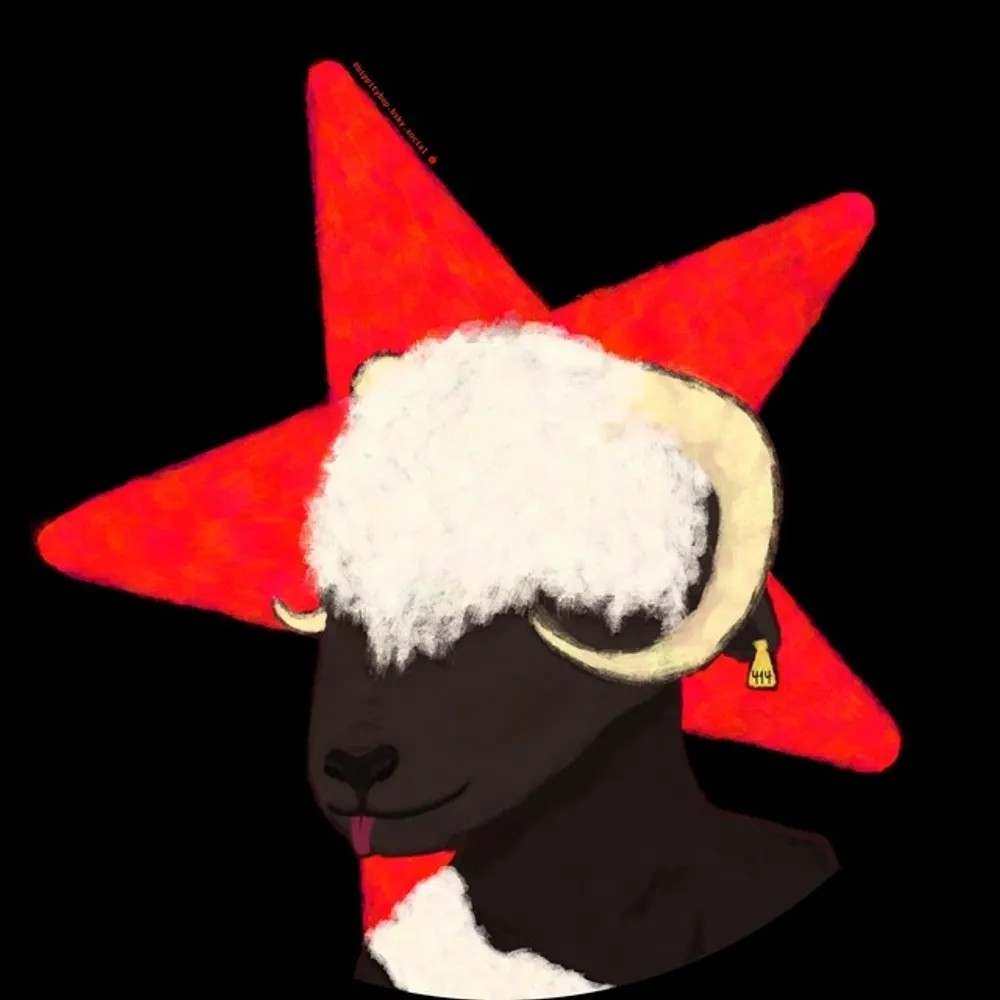 woolybully414.bsky.social's profile picture