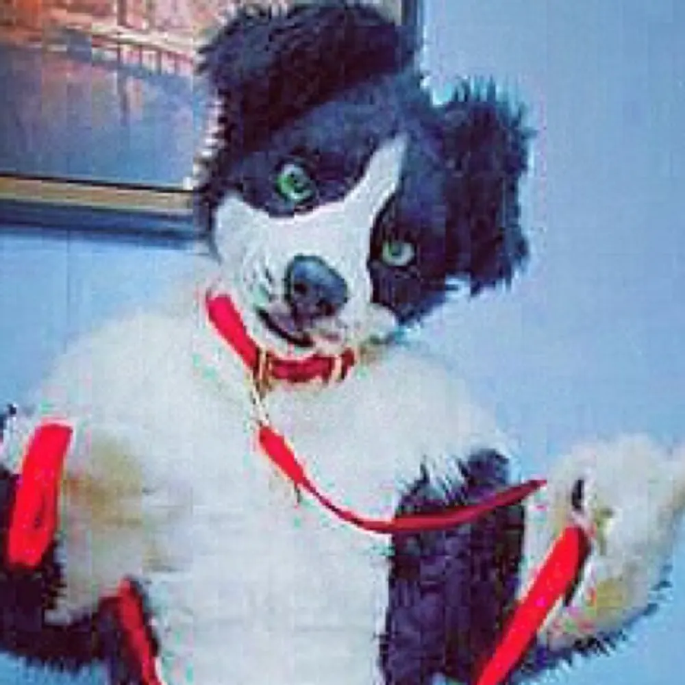 krisholcomb.bsky.social's profile picture