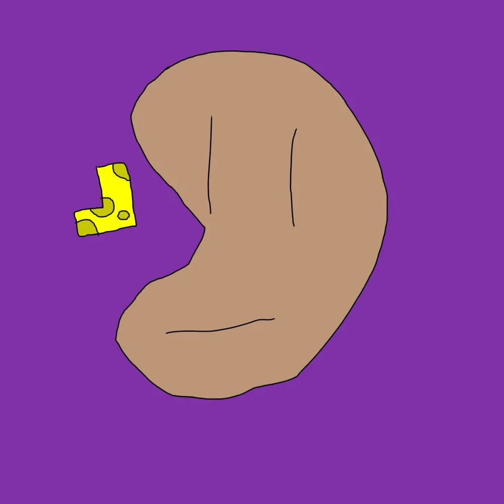 avoidofillusions.bsky.social's profile picture