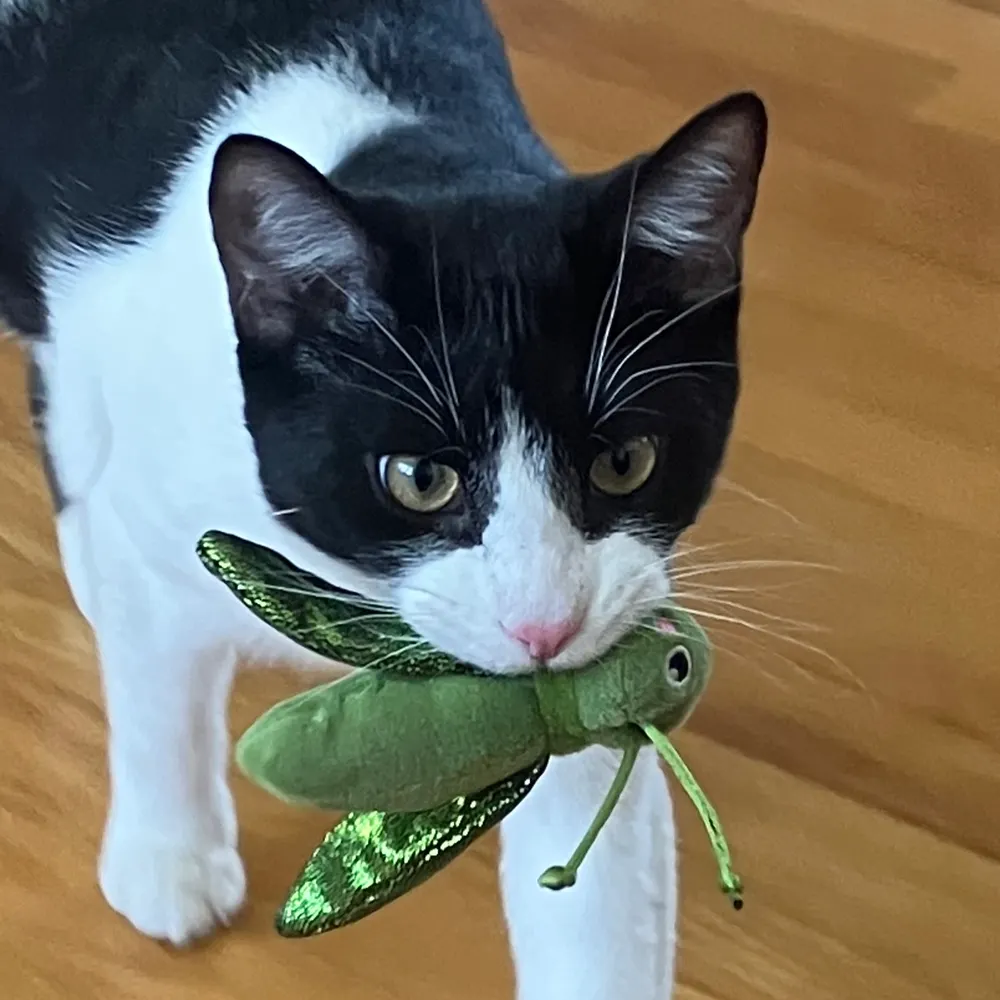 createnewpaths.bsky.social's profile picture