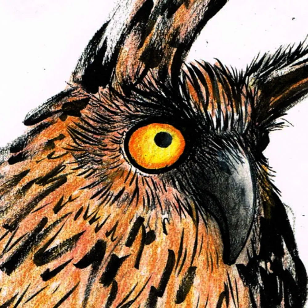 markstroud.bsky.social's profile picture