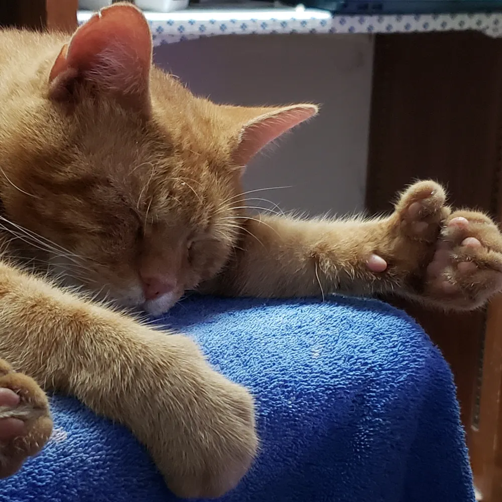 pushin2hard.bsky.social's profile picture