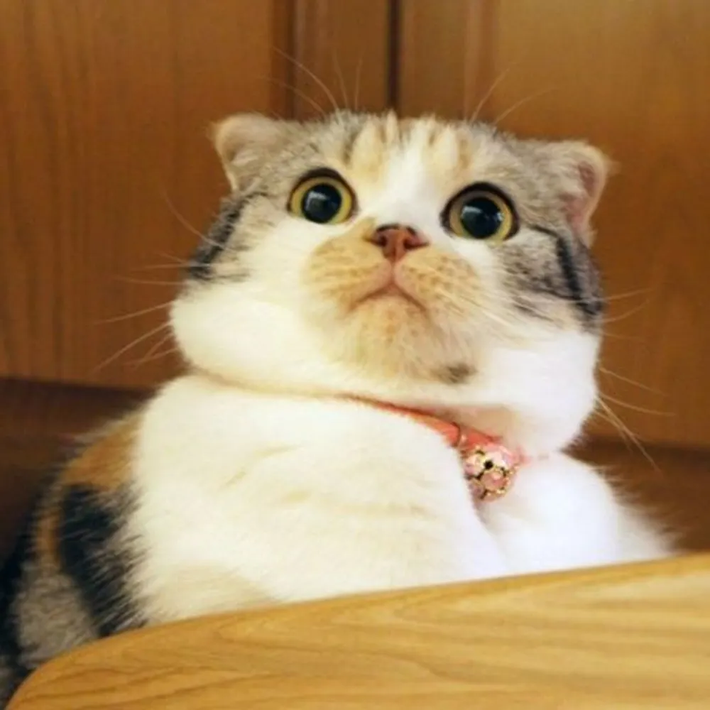 bbander.bsky.social's profile picture