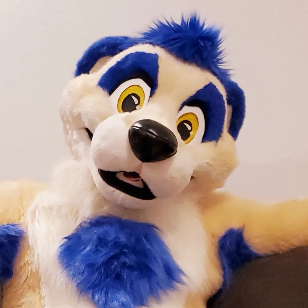 tigerthemeerkat.bsky.social's profile picture