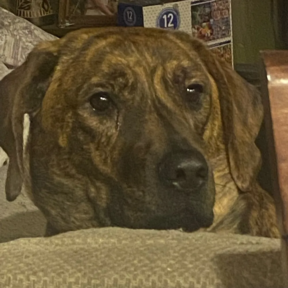 jon-madden.bsky.social's profile picture