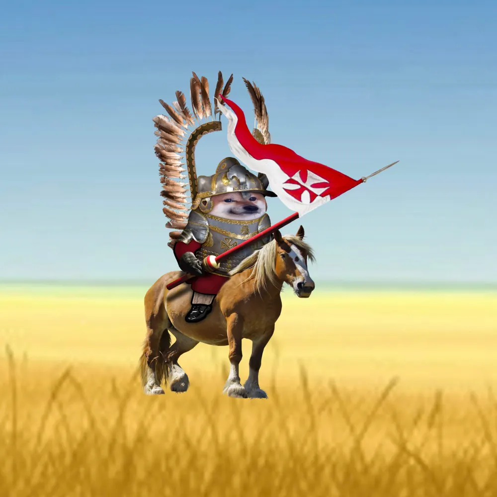 kubafox1.bsky.social's profile picture