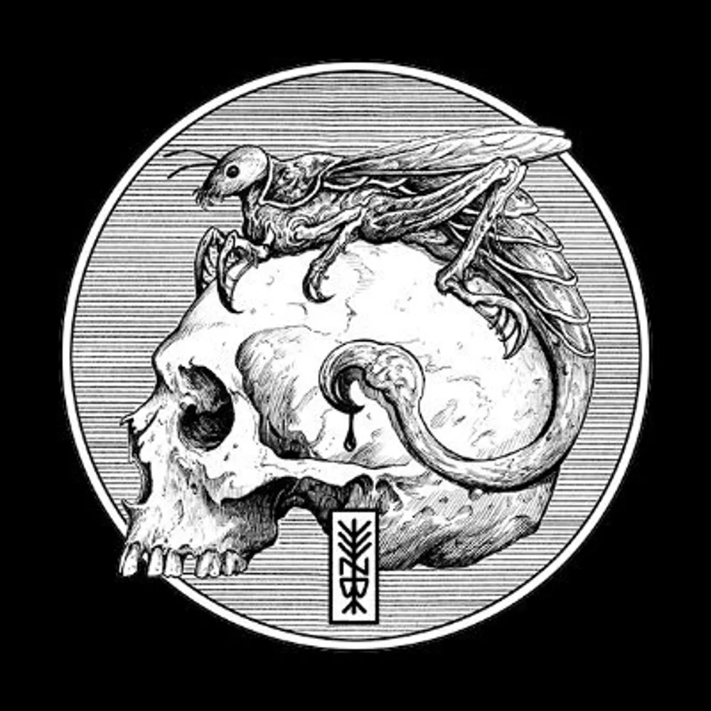 zeburnay.bsky.social's profile picture